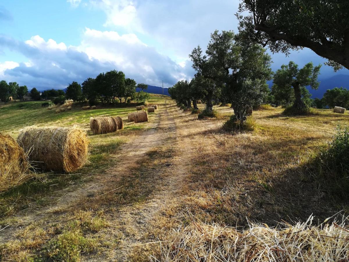La Dimora Di Radha B&B Centro Olistico 렌데 외부 사진