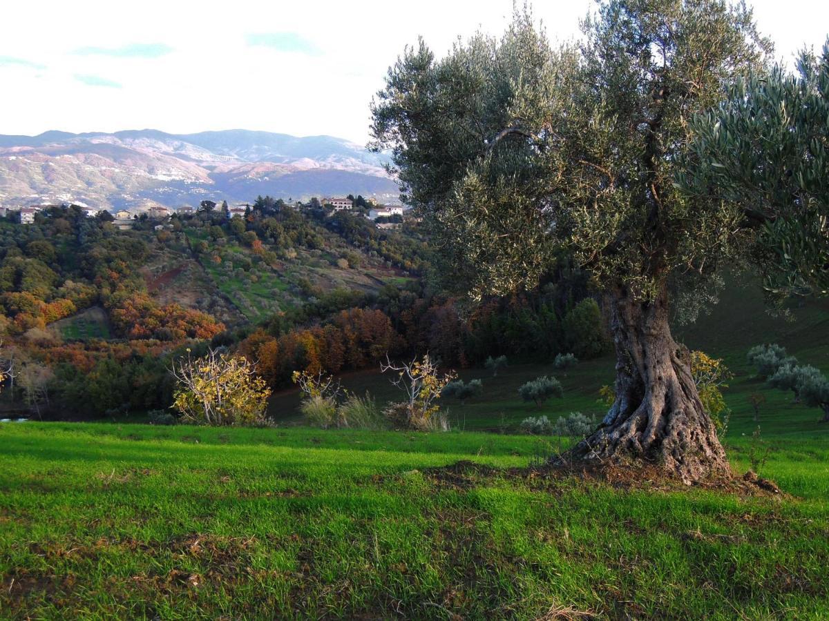 La Dimora Di Radha B&B Centro Olistico 렌데 외부 사진